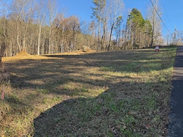 22 Moon Circle Spring City TN 37381