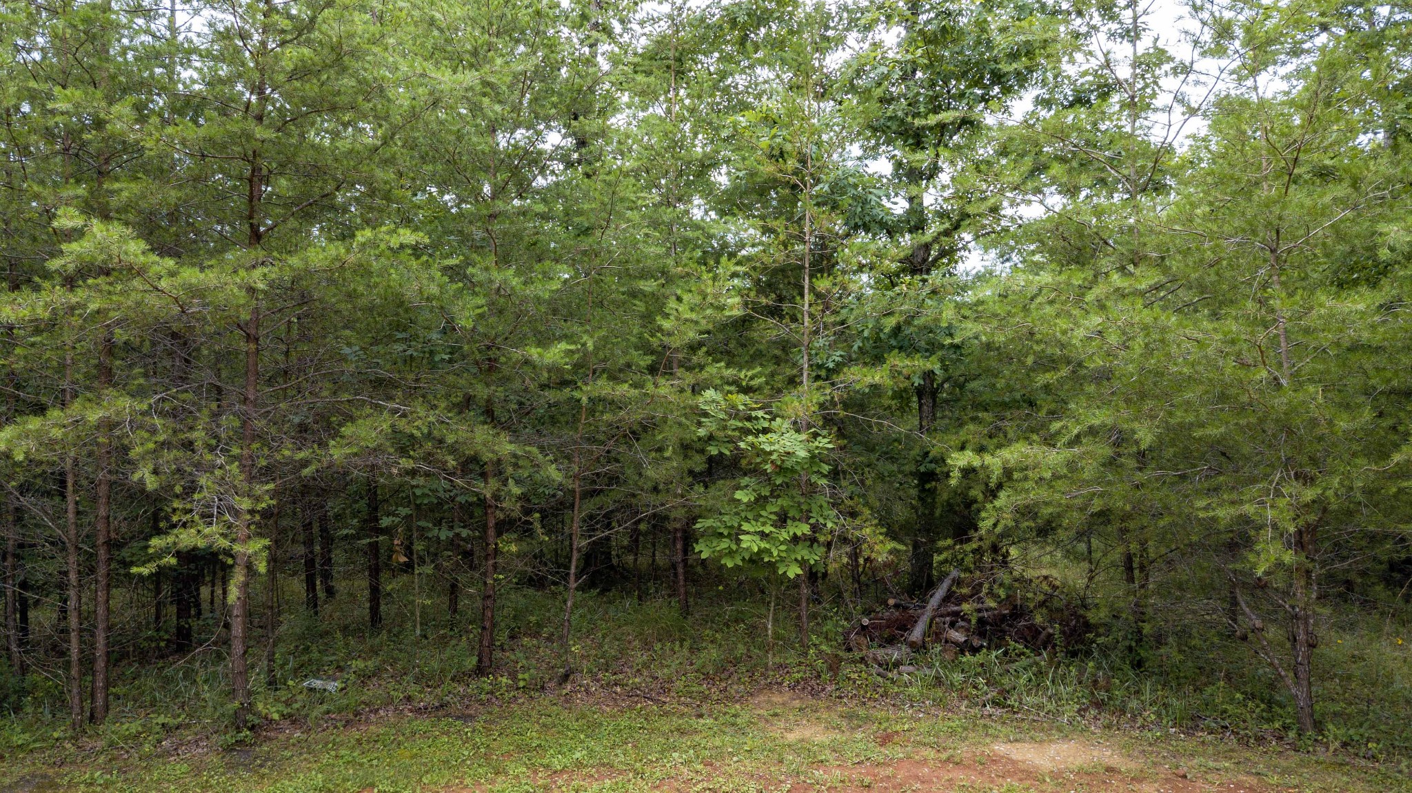 0 Valley Lane Spencer TN 38585
