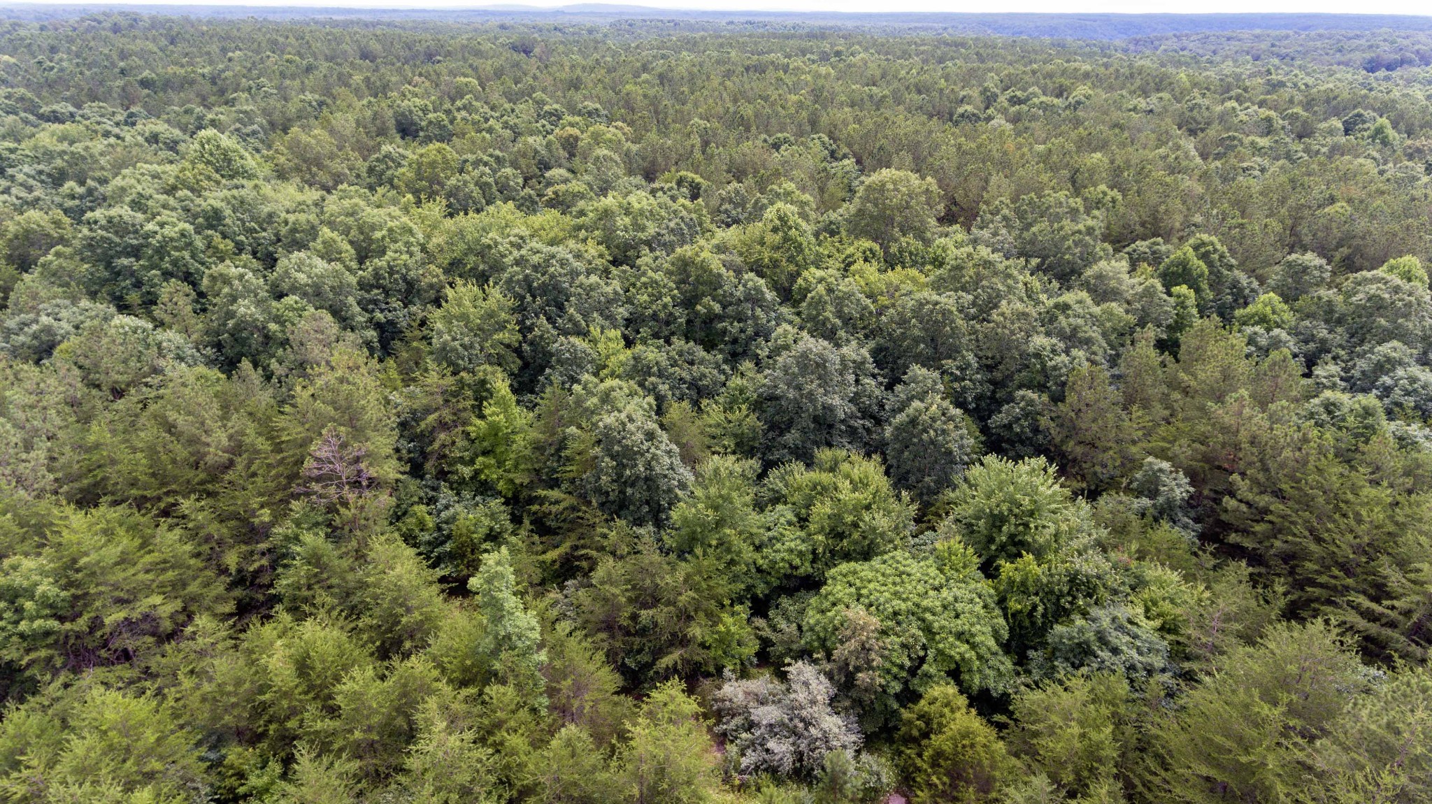 0 Valley Lane Spencer TN 38585