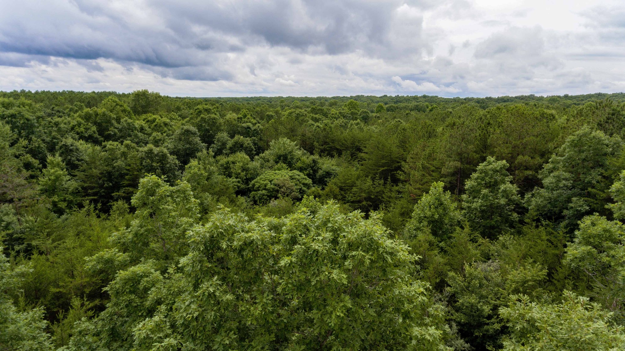 0 Valley Lane Spencer TN 38585