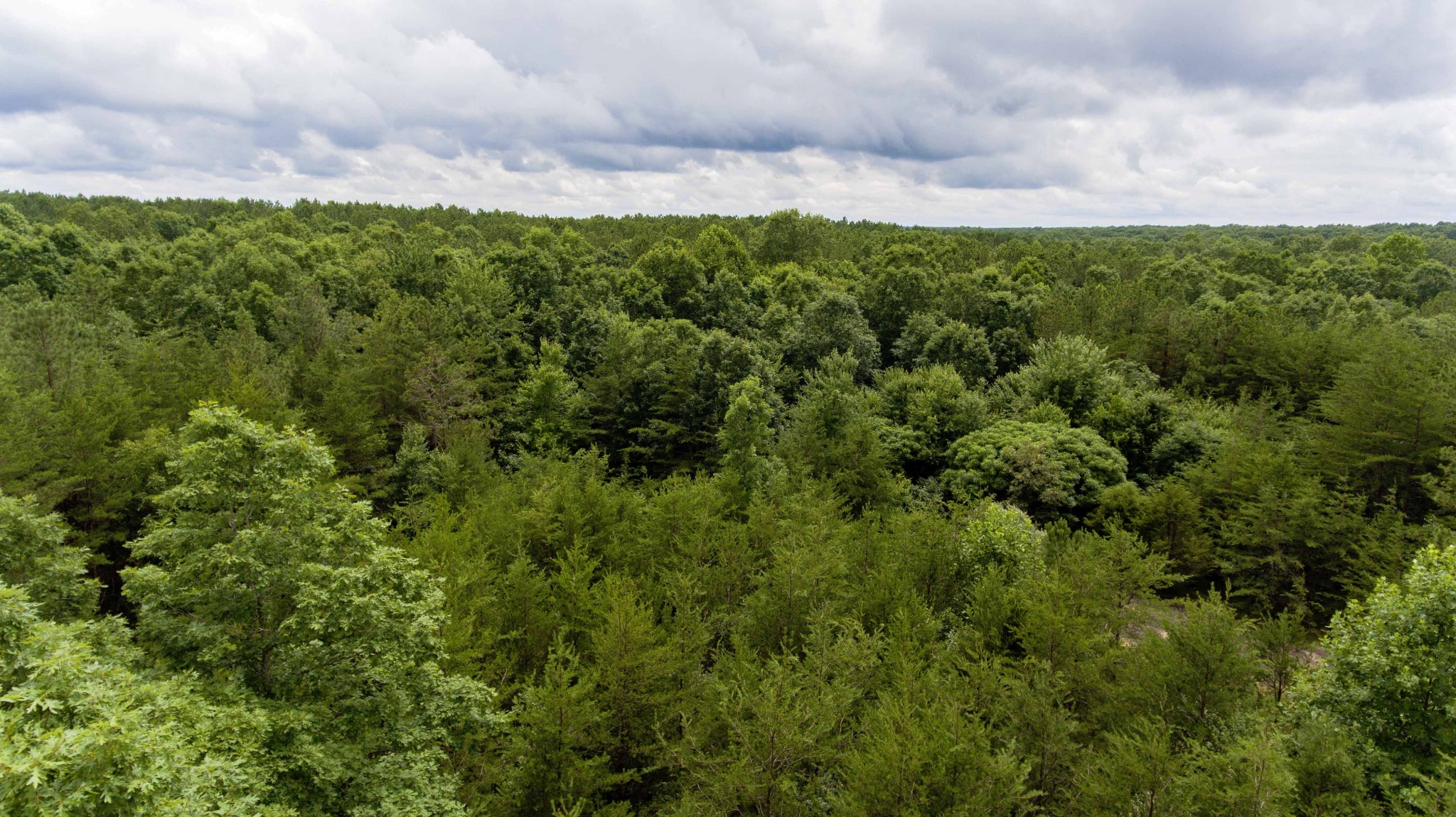 0 Valley Lane Spencer TN 38585