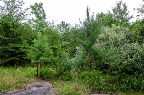 0 Valley Lane Spencer TN 38585