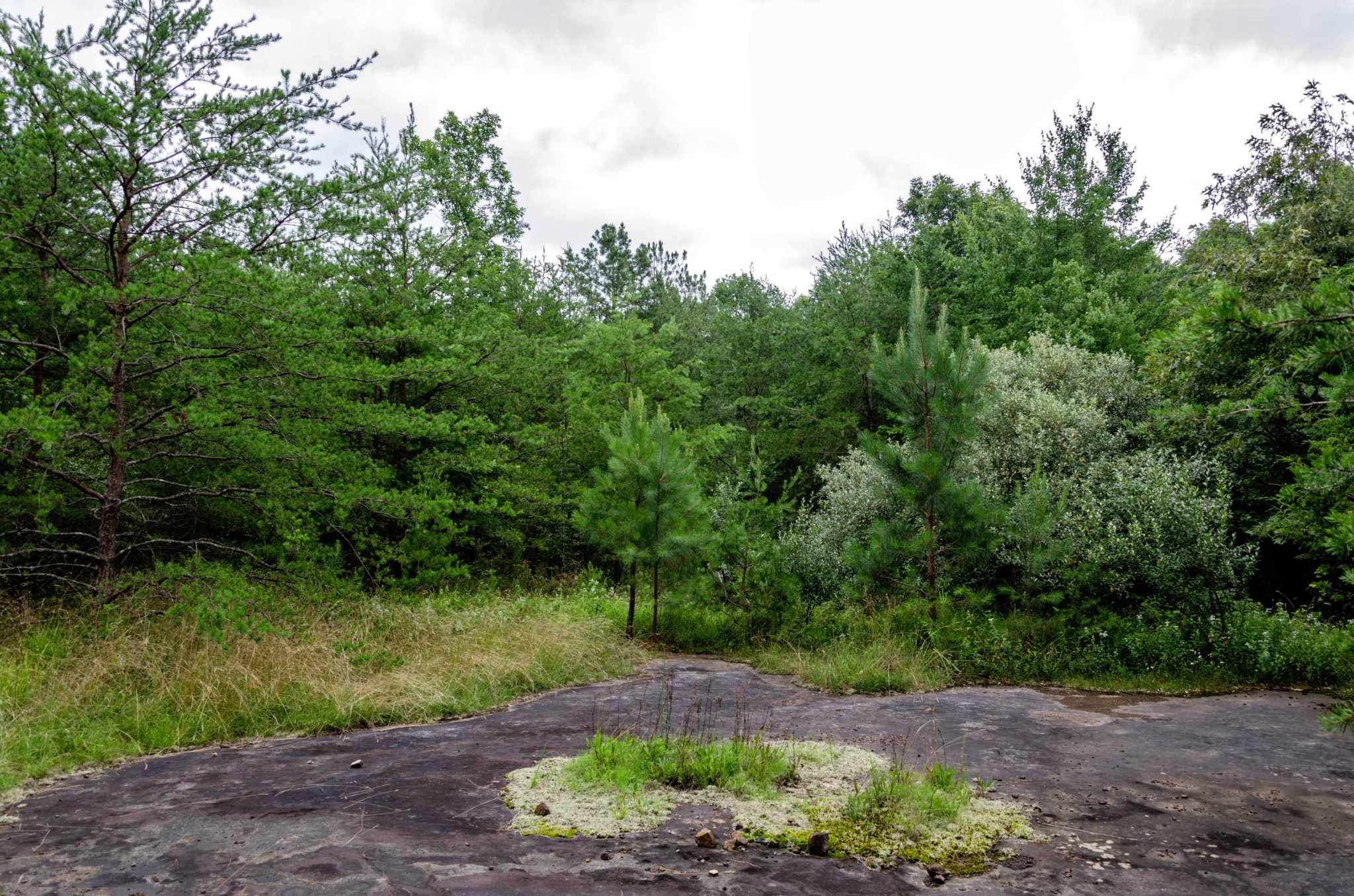 0 Valley Lane Spencer TN 38585