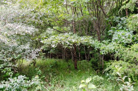 0 Valley Lane Spencer TN 38585