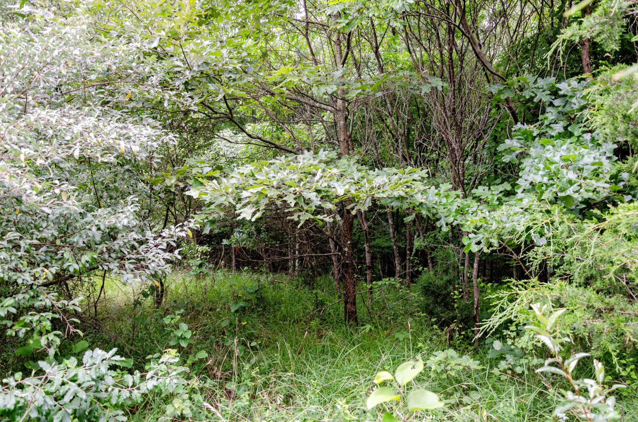 0 Valley Lane Spencer TN 38585