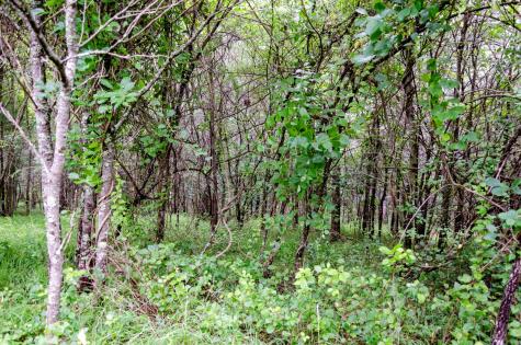 0 Valley Lane Spencer TN 38585