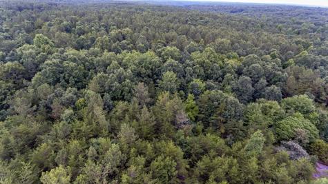 0 Valley Lane Spencer TN 38585