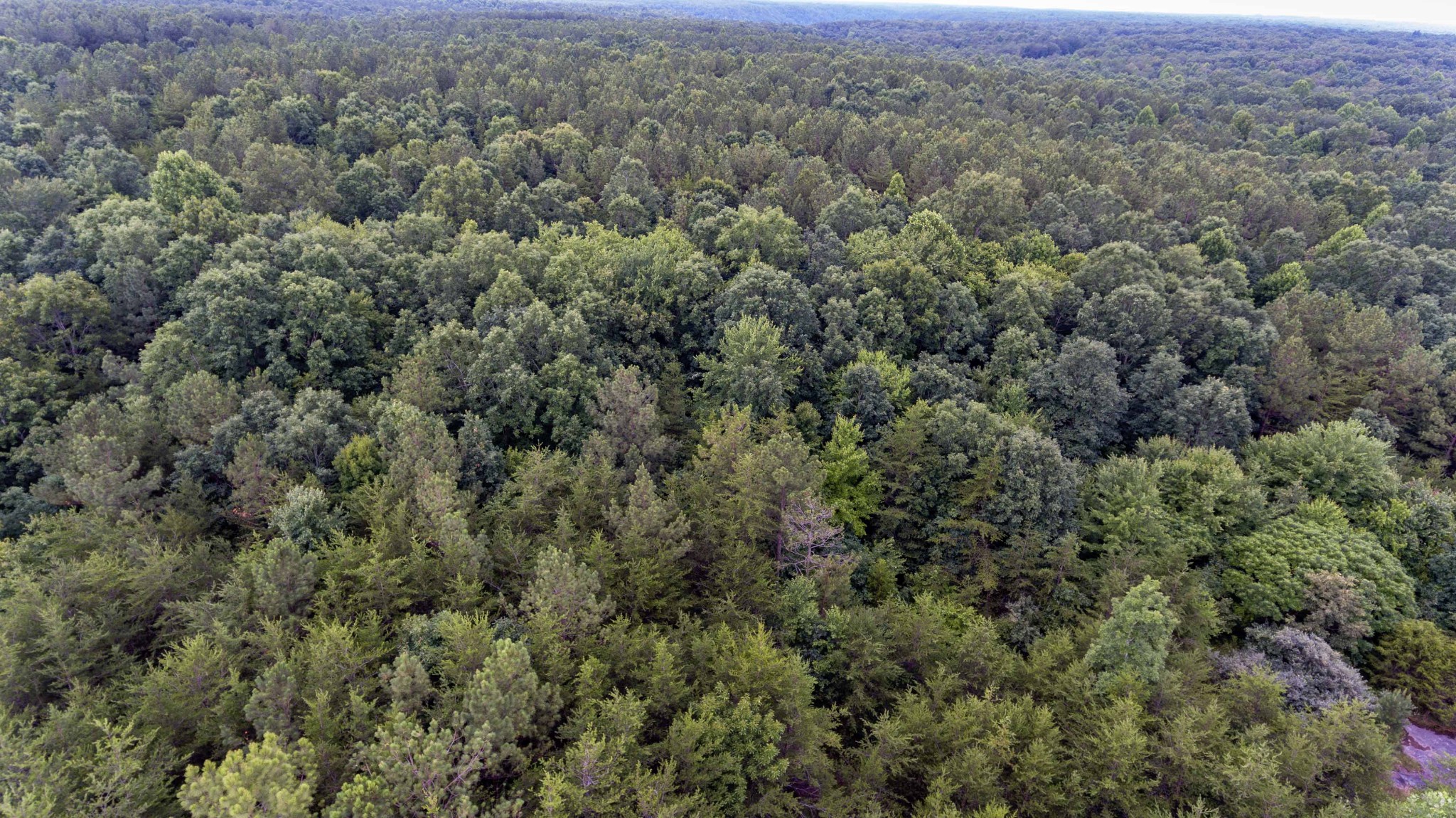 0 Valley Lane Spencer TN 38585