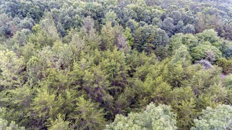 0 Valley Lane Spencer TN 38585