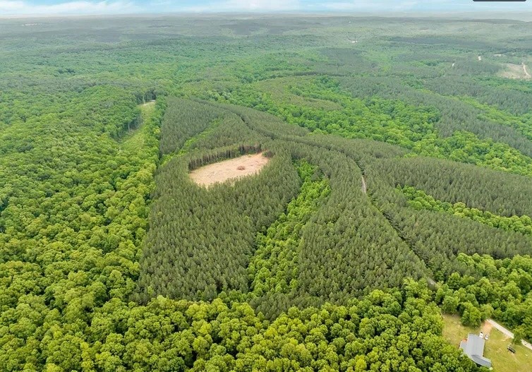 112 Cabin Road Hohenwald TN 38462