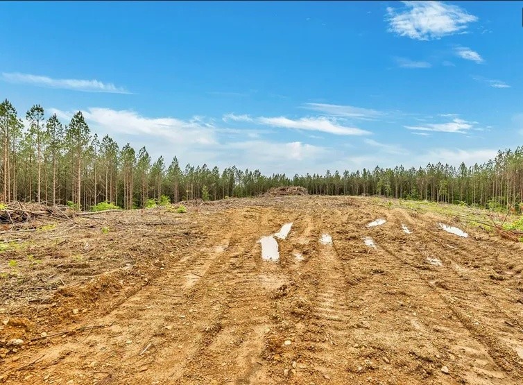 112 Cabin Road Hohenwald TN 38462
