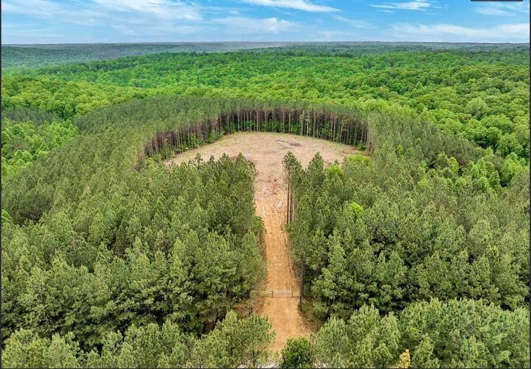 112 Cabin Road Hohenwald TN 38462