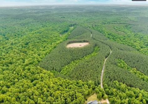 112 Cabin Road Hohenwald TN 38462