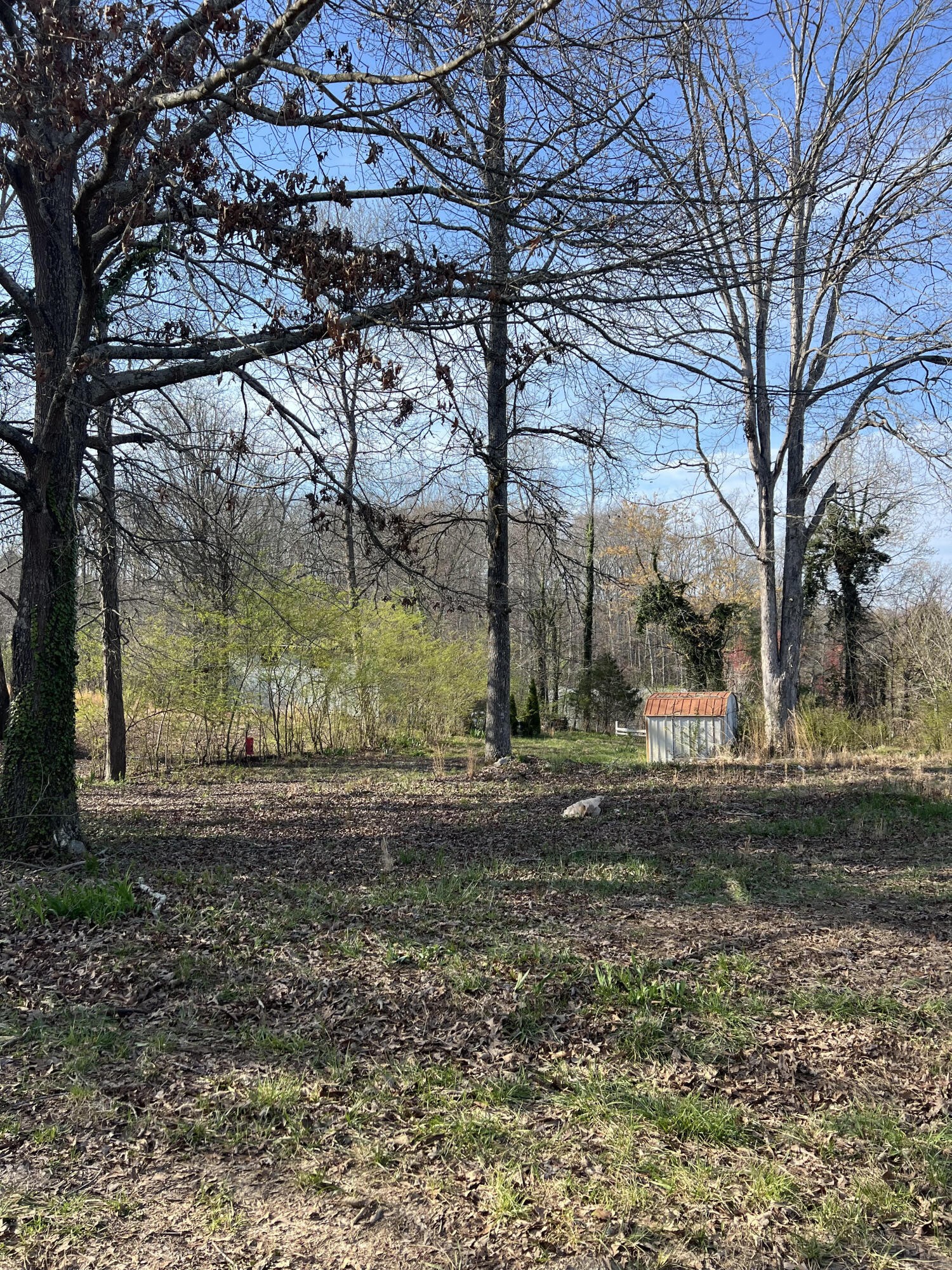 3 Hunter Drive Cleveland TN 37323