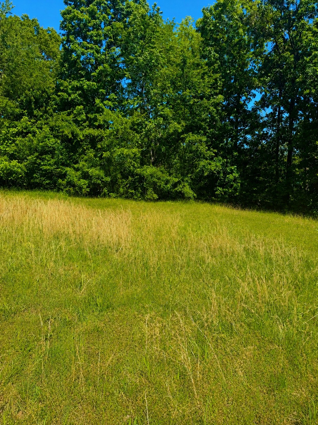 1665 Eno Road Dickson TN 37055
