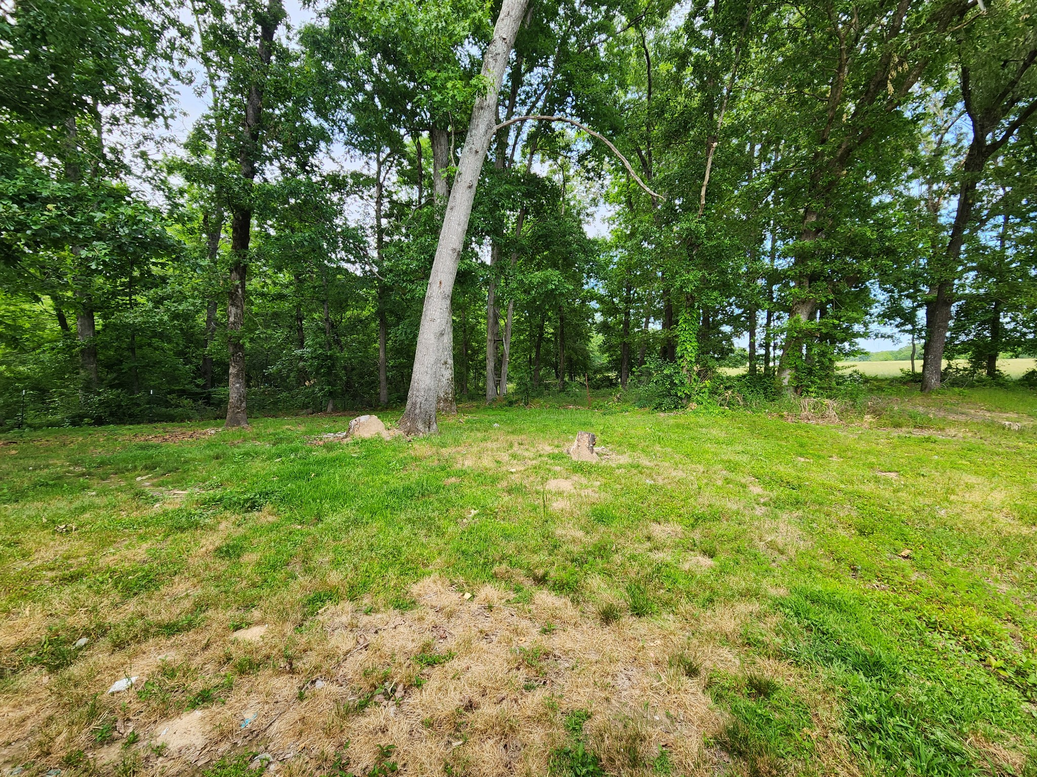 155 Sweetgum Lane Summertown TN 38483