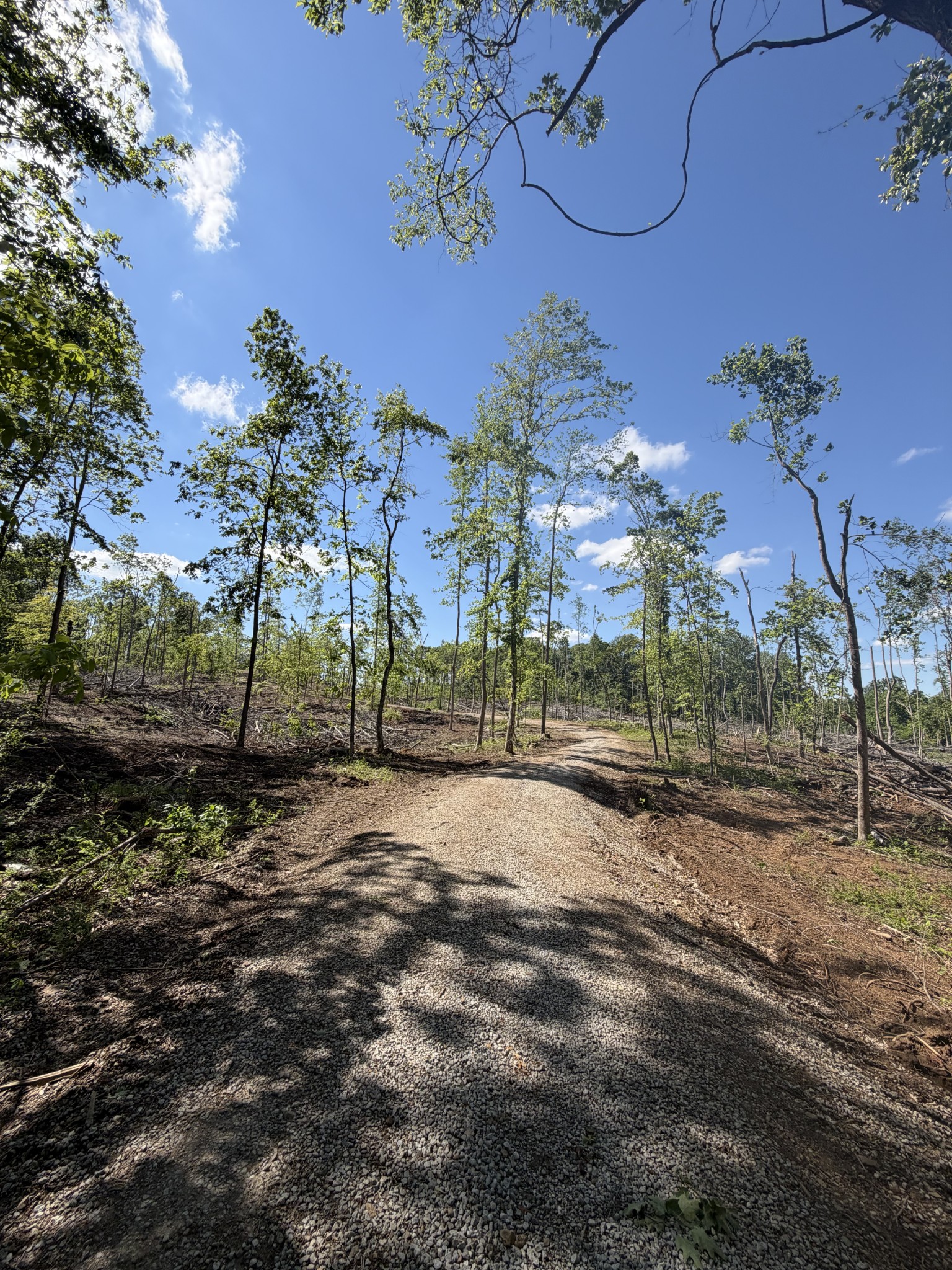 6492 Cross Plains Road Springfield TN 37172