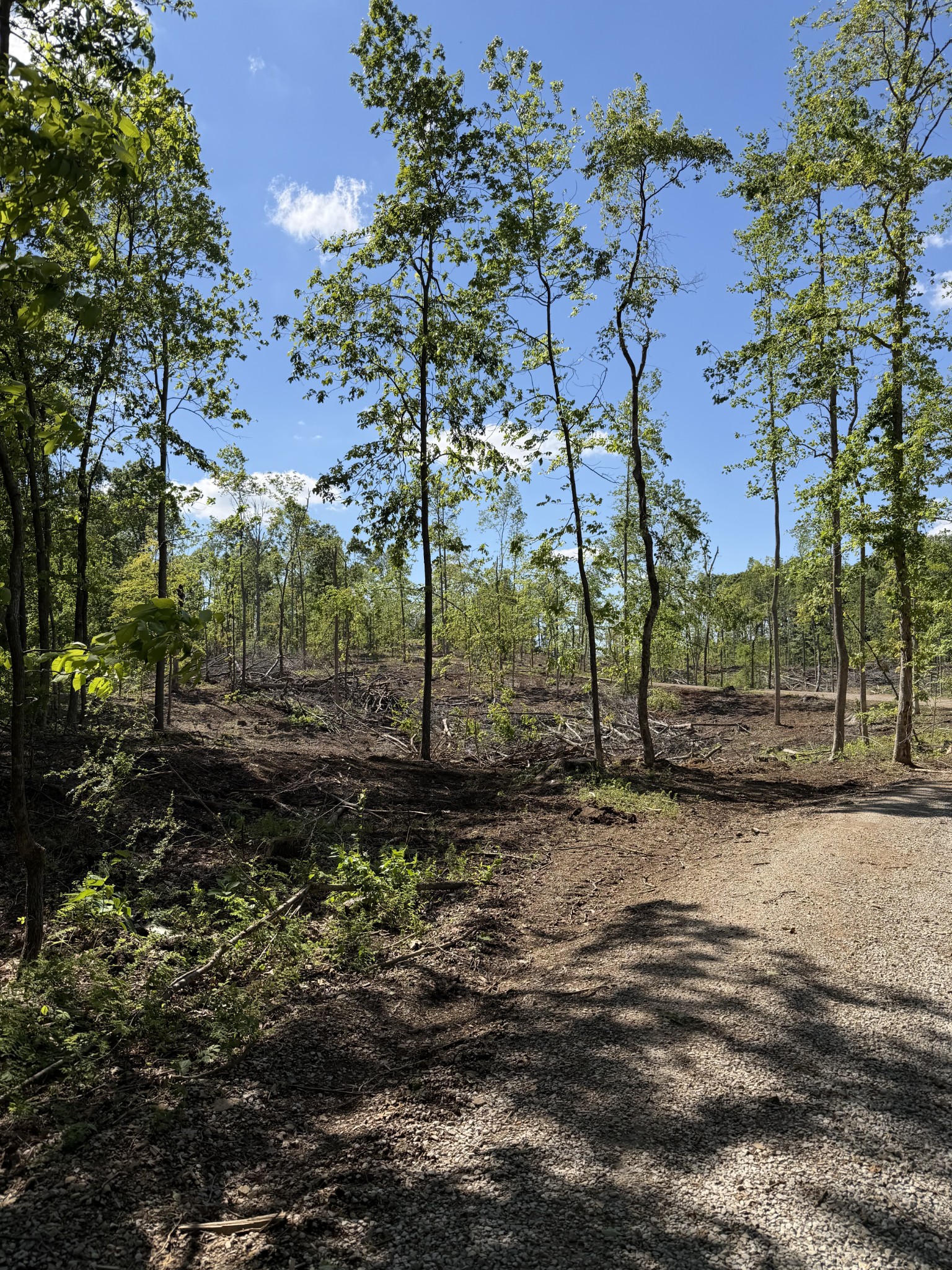 6492 Cross Plains Road Springfield TN 37172