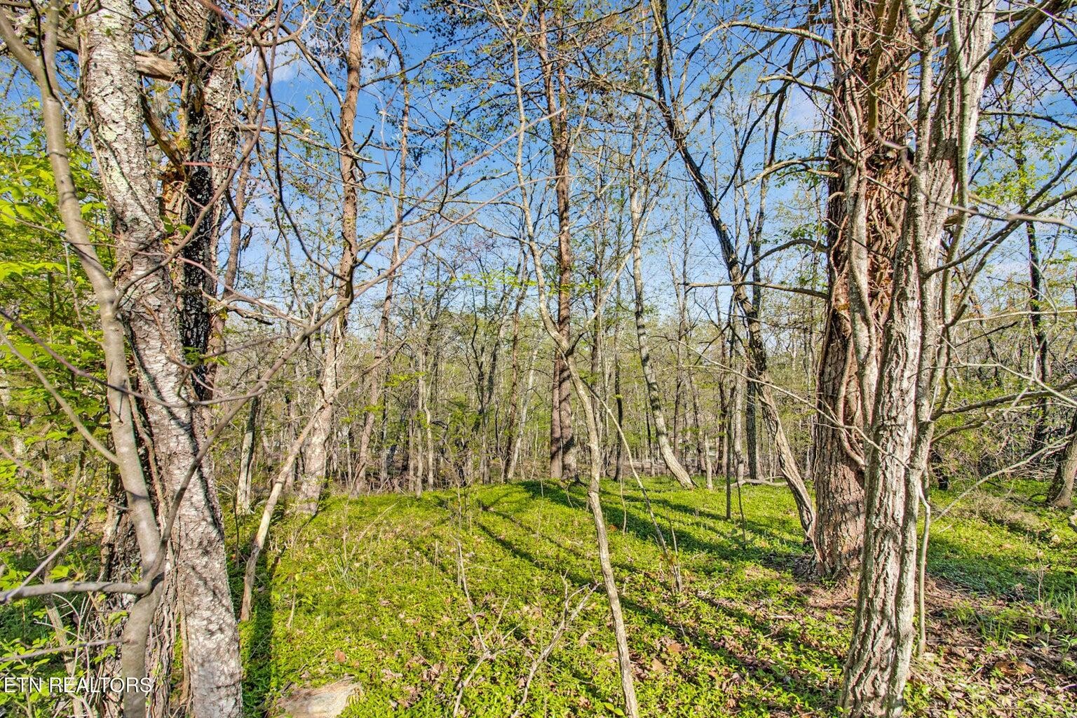 165 Brokenwood Lane Crossville TN 38558