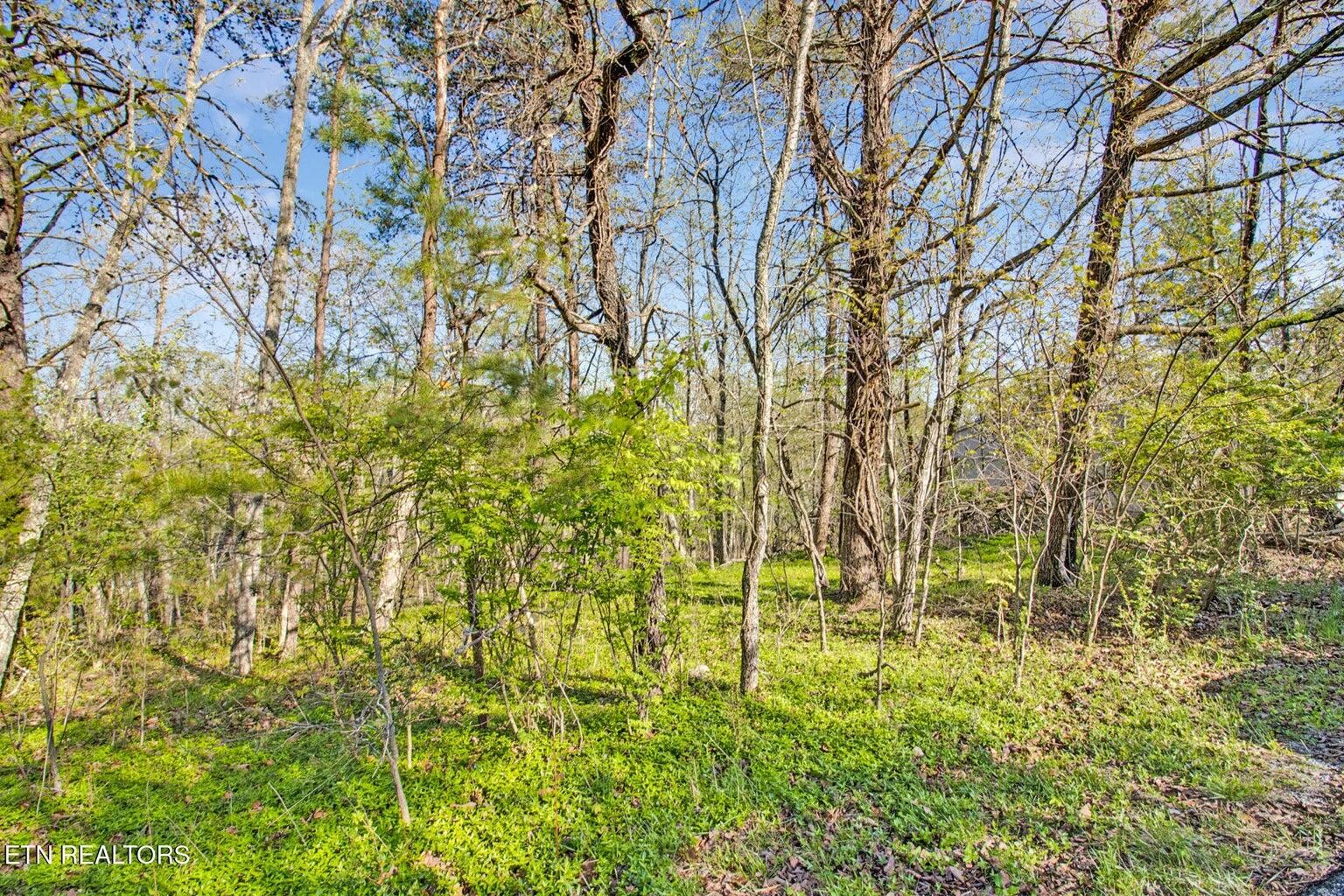 165 Brokenwood Lane Crossville TN 38558