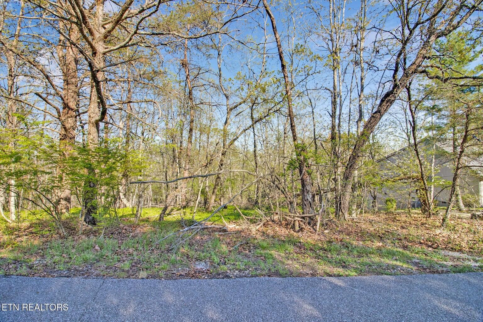 165 Brokenwood Lane Crossville TN 38558