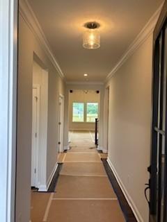 1005 Cherry Tree Drive Mount Juliet TN 37122
