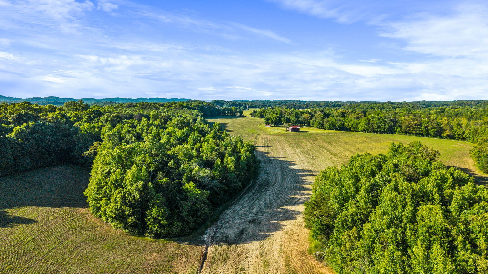 444 County Road 782 Etowah TN 37331