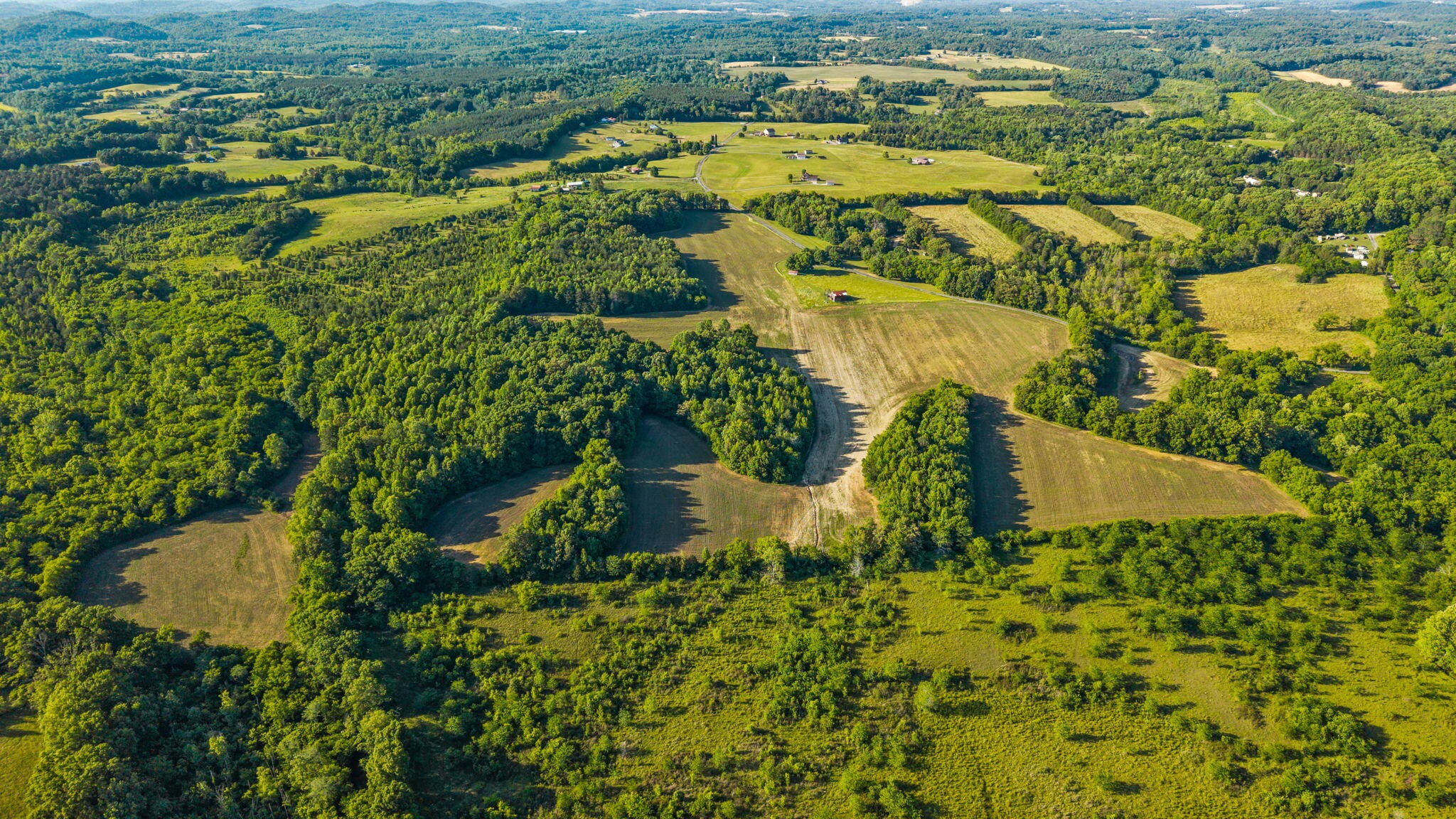 444 County Road 782 Etowah TN 37331
