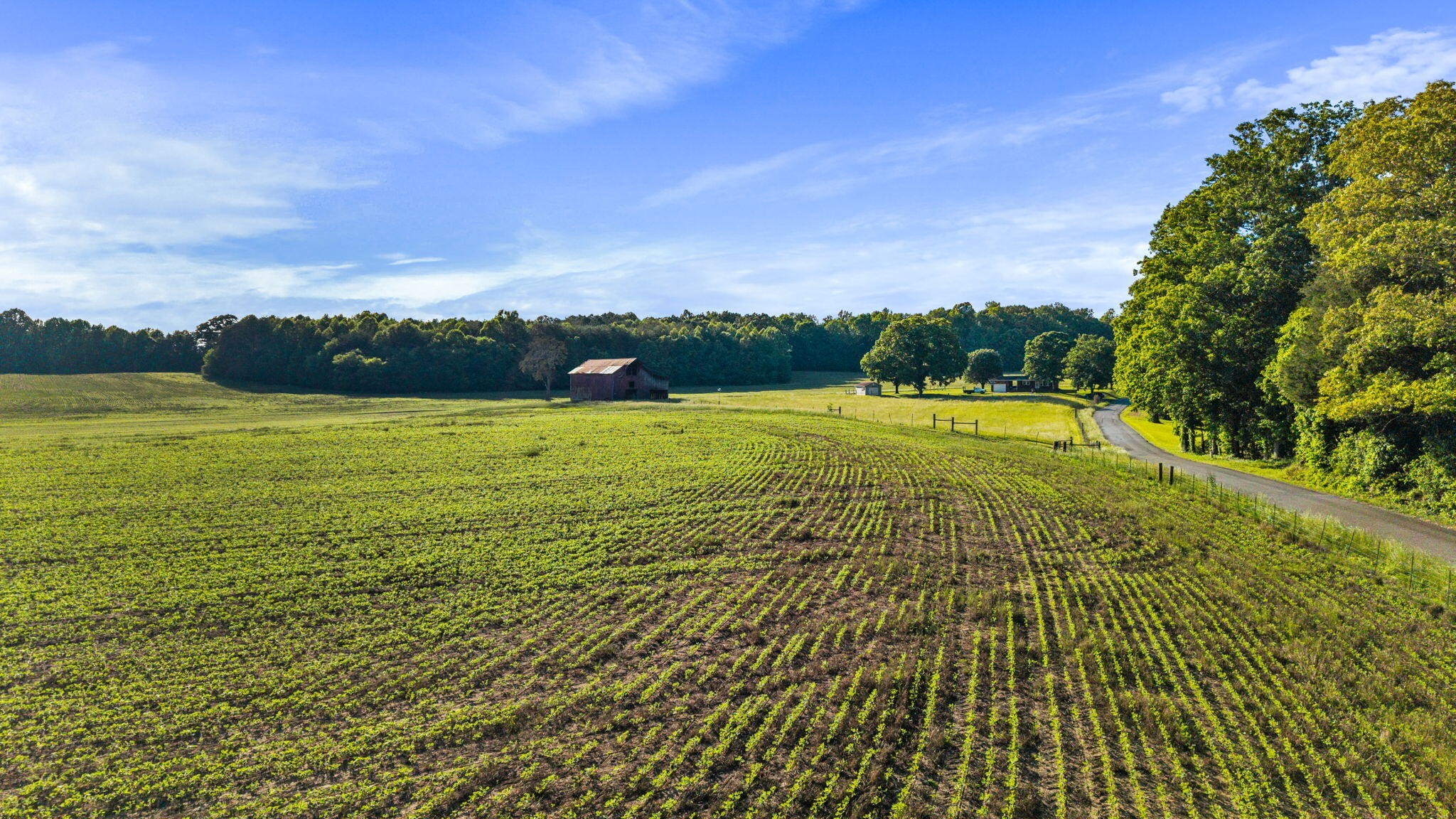 444 County Road 782 Etowah TN 37331