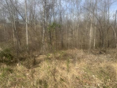 0 Ridgeway Drive Smithville TN 37166