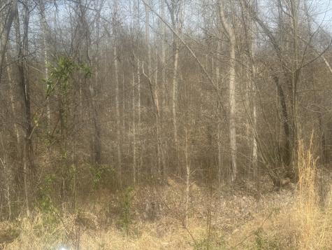 0 Ridgeway Drive Smithville TN 37166