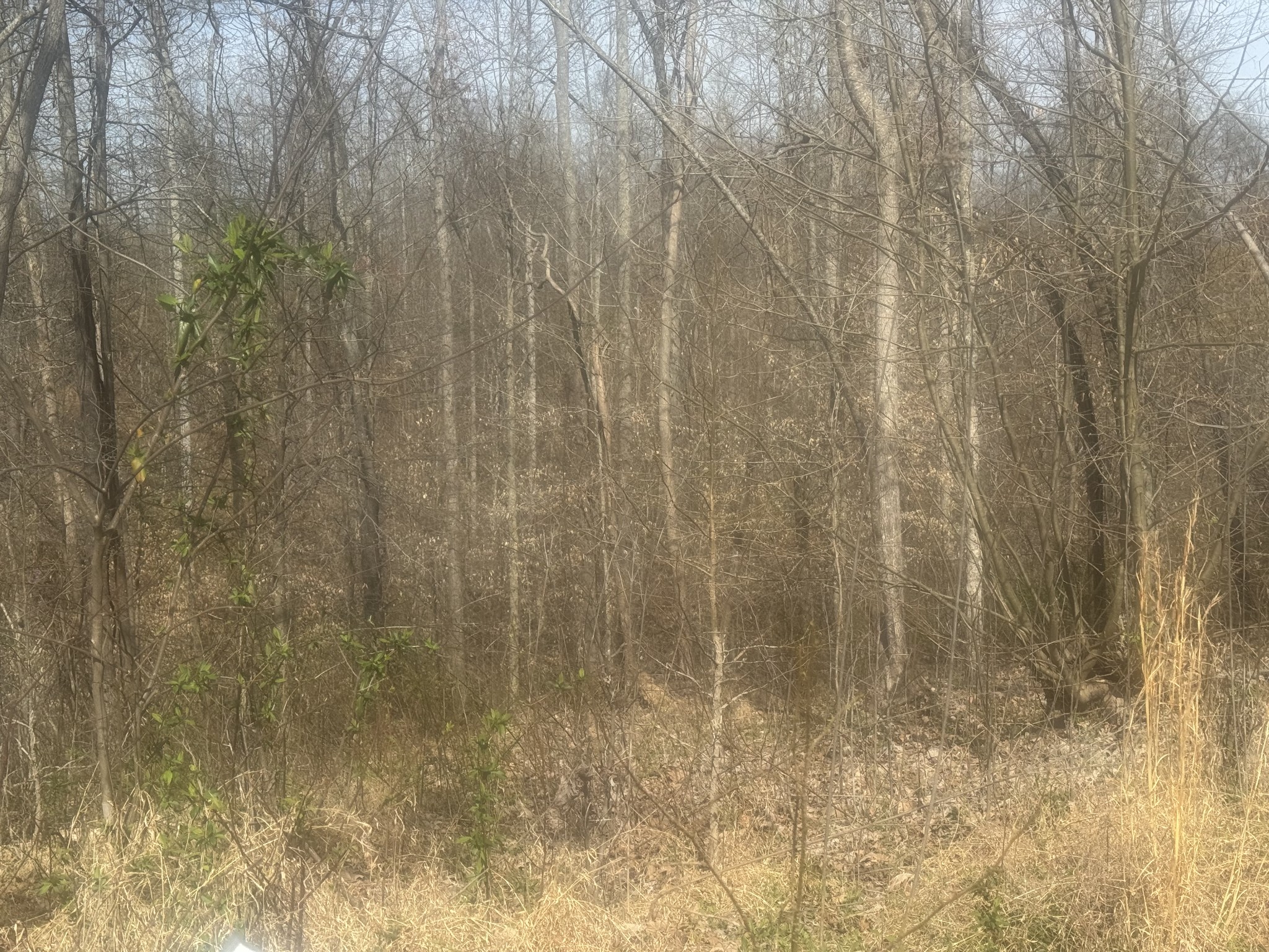 0 Ridgeway Drive Smithville TN 37166