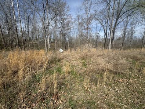 0 Ridgeway Drive Smithville TN 37166