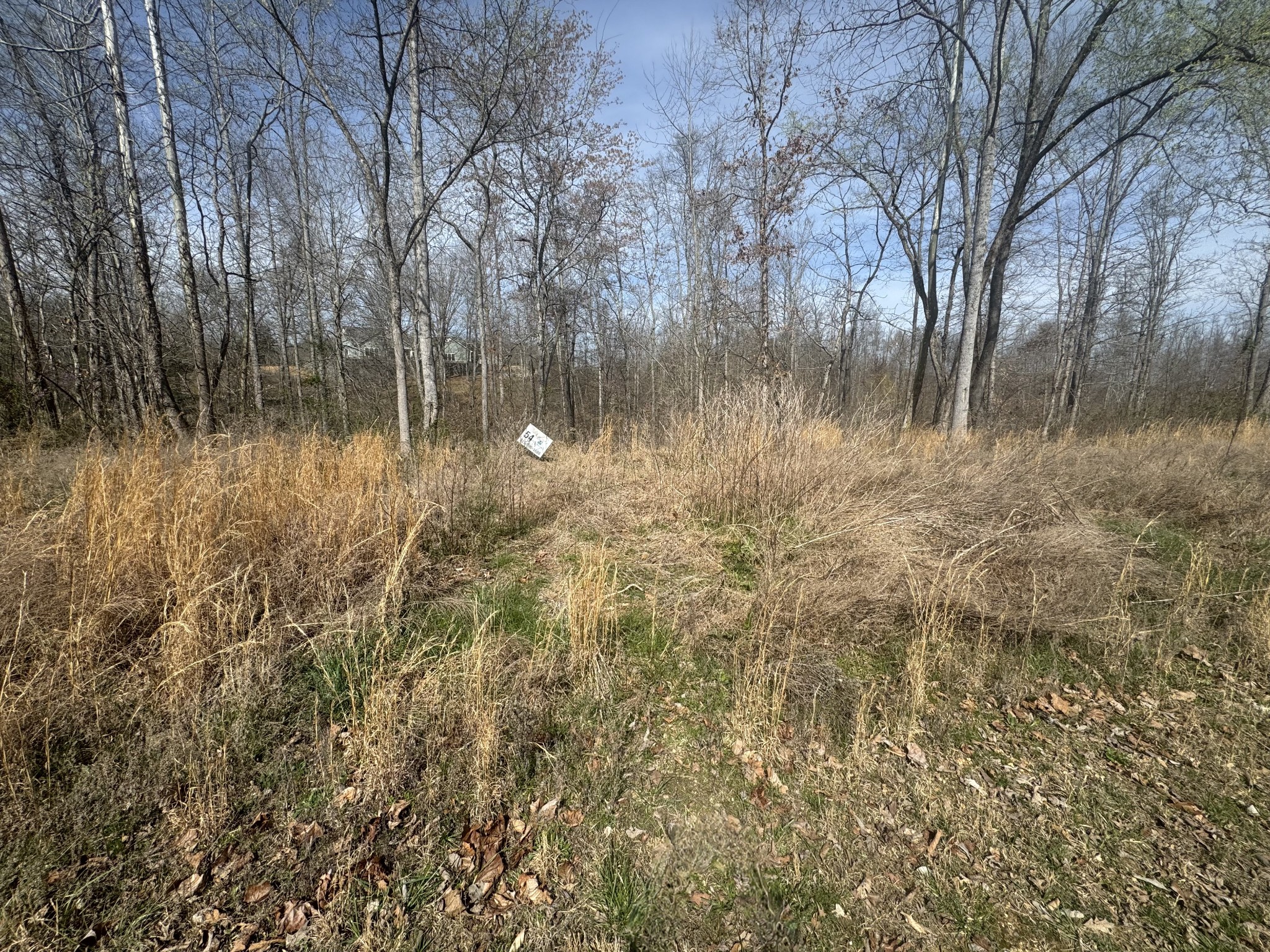 0 Ridgeway Drive Smithville TN 37166