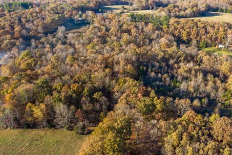 6716 Brown Hollow Road Lyles TN 37098