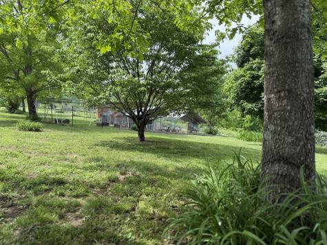 135 Second Creek Lane Hartsville TN 37074