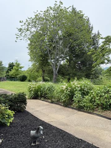 135 Second Creek Lane Hartsville TN 37074