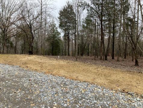 2 Barnhill Road Primm Springs TN 38476
