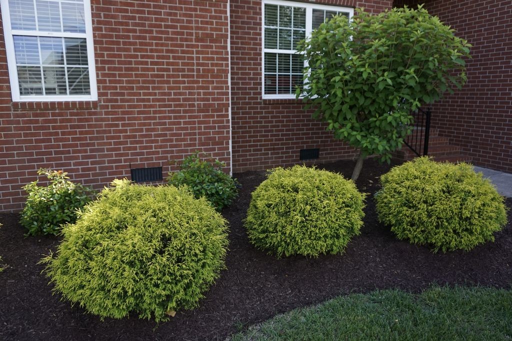 3606 Geneva Drive Murfreesboro TN 37128
