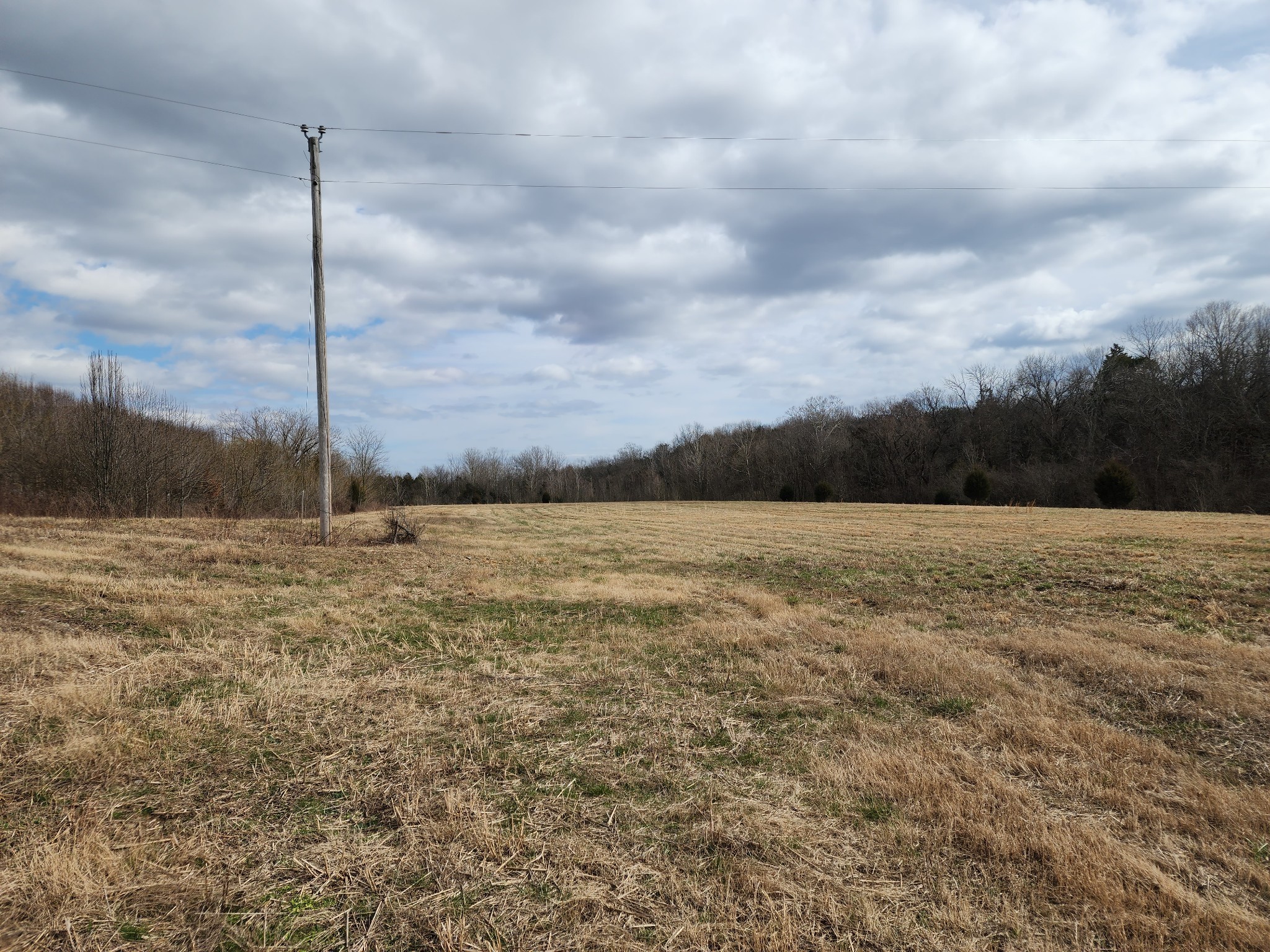 0 Bear Creek Pike Columbia TN 38401