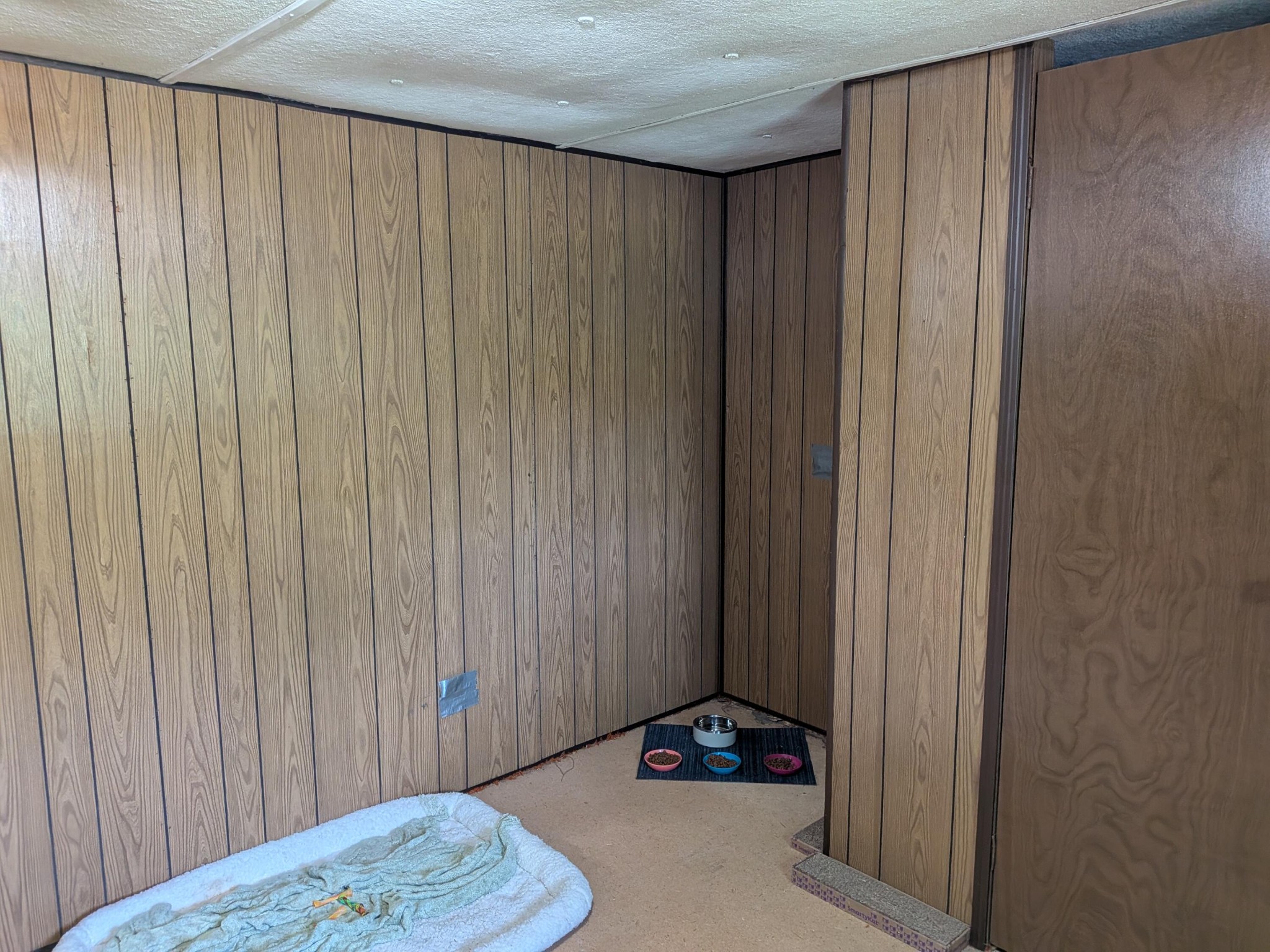 123 Hard Rector Lane Spring City TN 37381