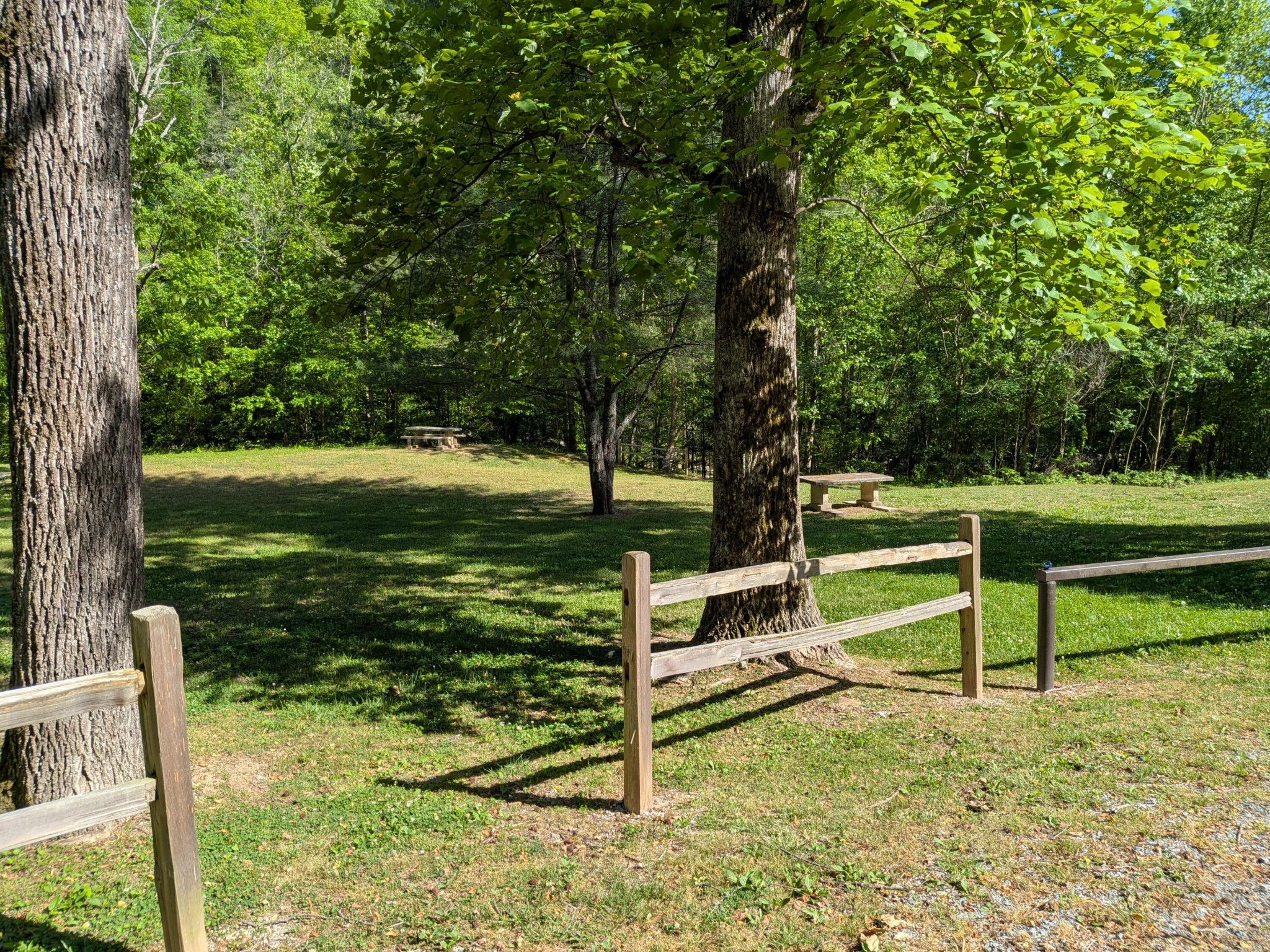 123 Hard Rector Lane Spring City TN 37381