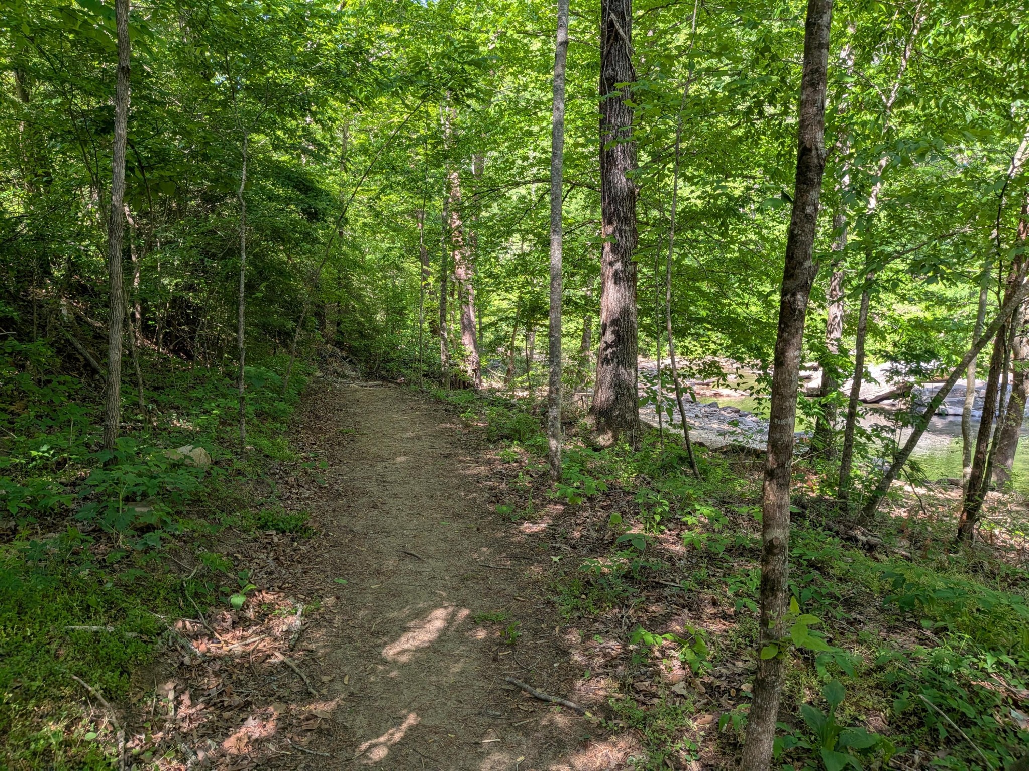 123 Hard Rector Lane Spring City TN 37381