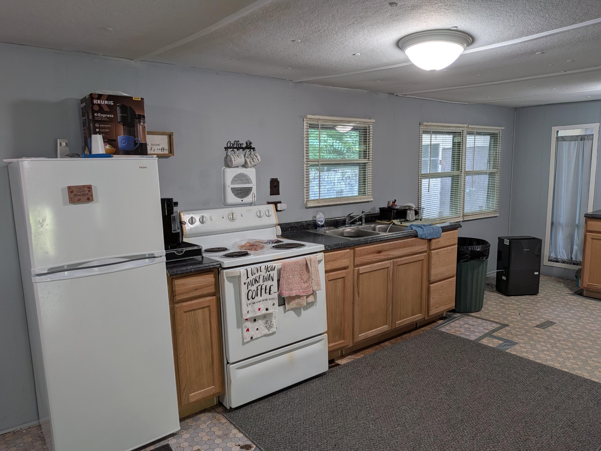 123 Hard Rector Lane Spring City TN 37381