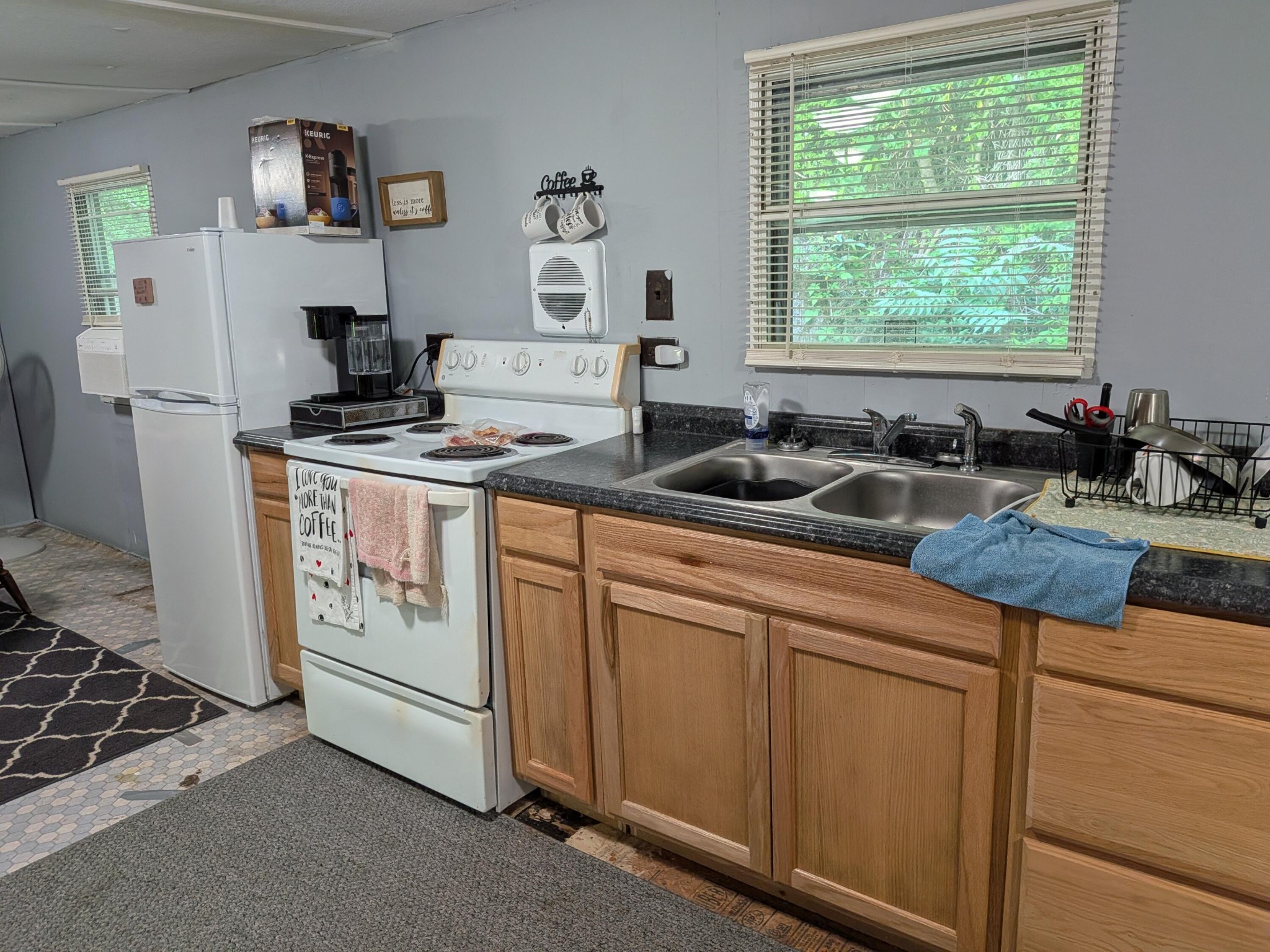 123 Hard Rector Lane Spring City TN 37381