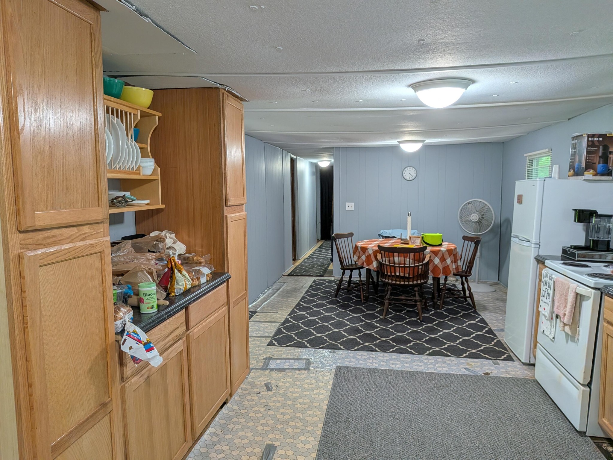 123 Hard Rector Lane Spring City TN 37381