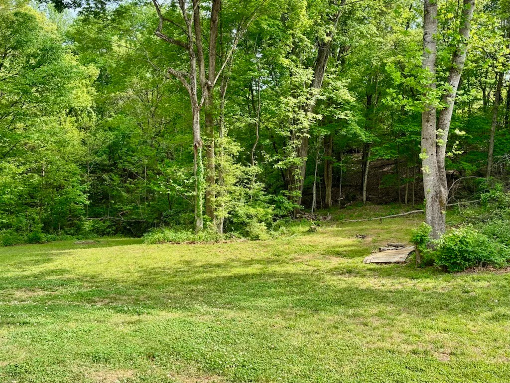 2397 Davidson Graveyard Road Clarksville TN 37043