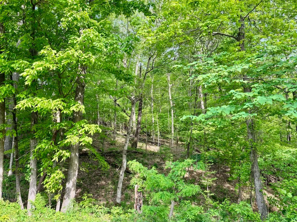 2397 Davidson Graveyard Road Clarksville TN 37043