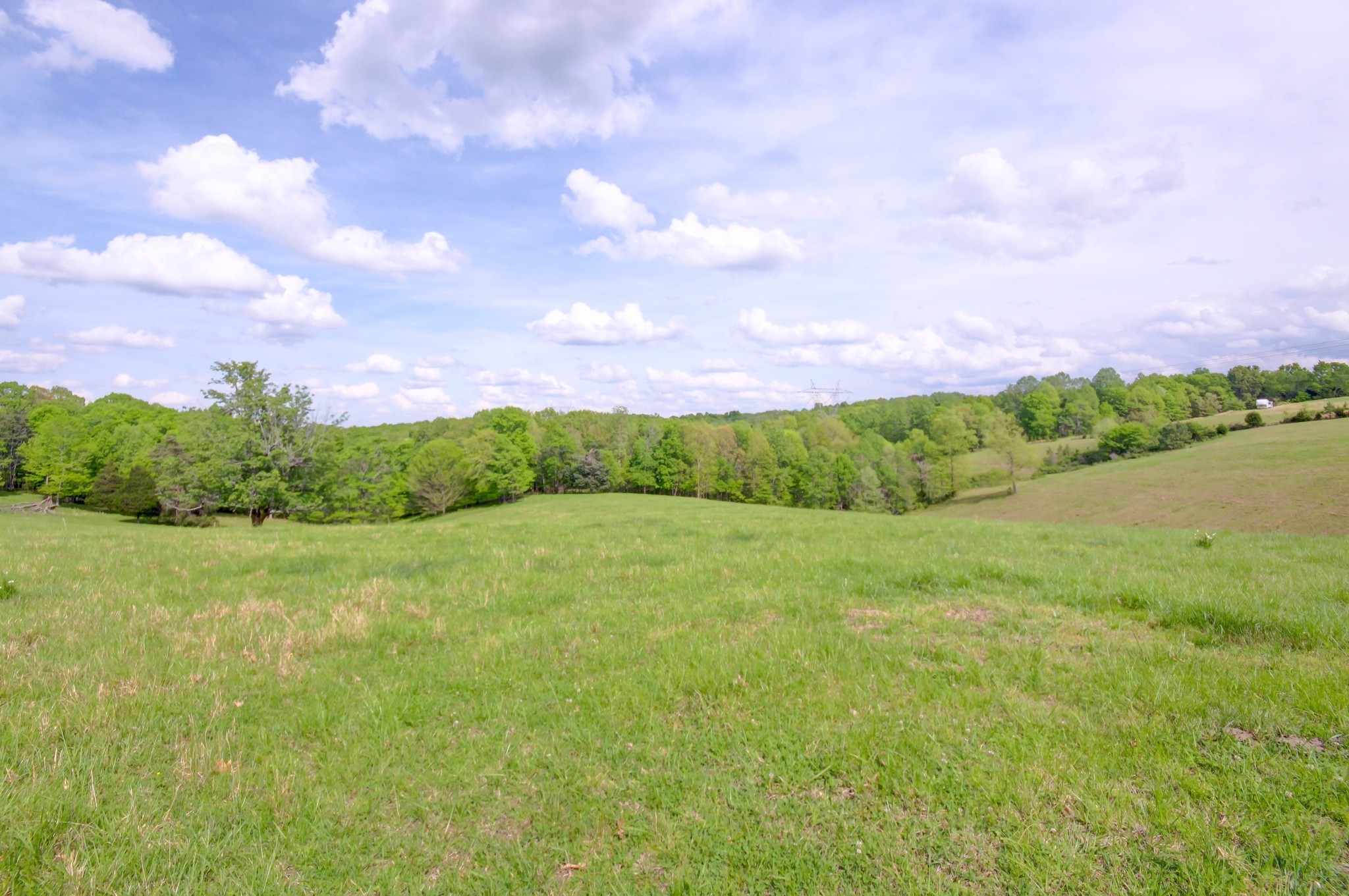 3915 Oak Ridge Road Palmyra TN 37142
