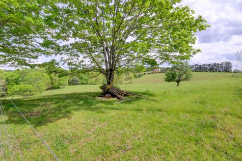 3915 Oak Ridge Road Palmyra TN 37142